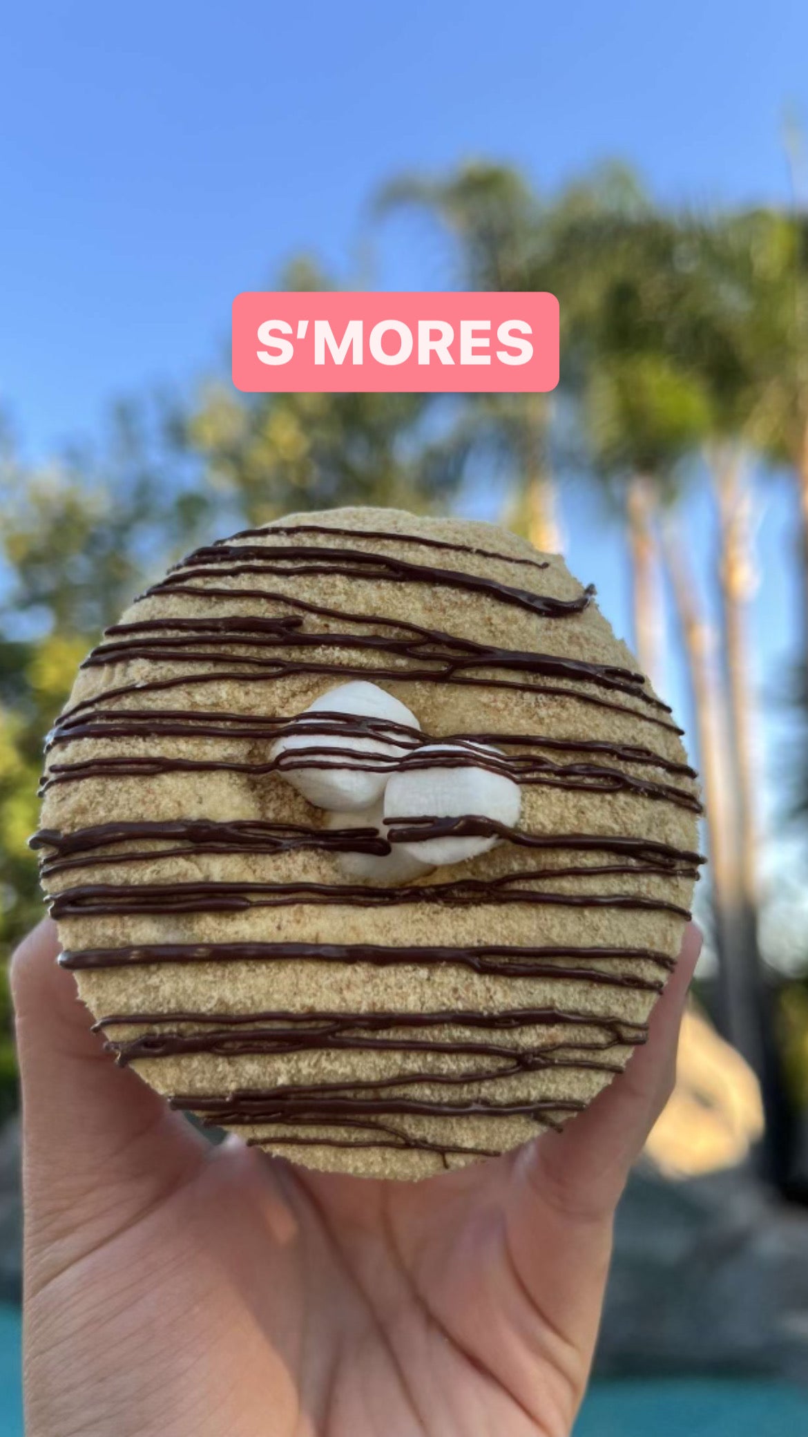 Protein Donut - Create your own (2,4,6, or 10 pack)