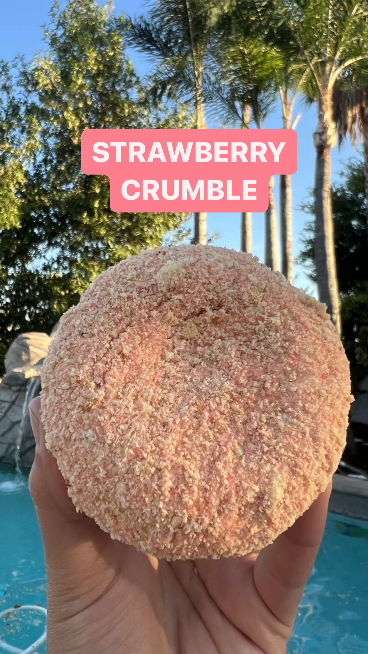 Protein Donuts- Single Flavor- (4 pack)