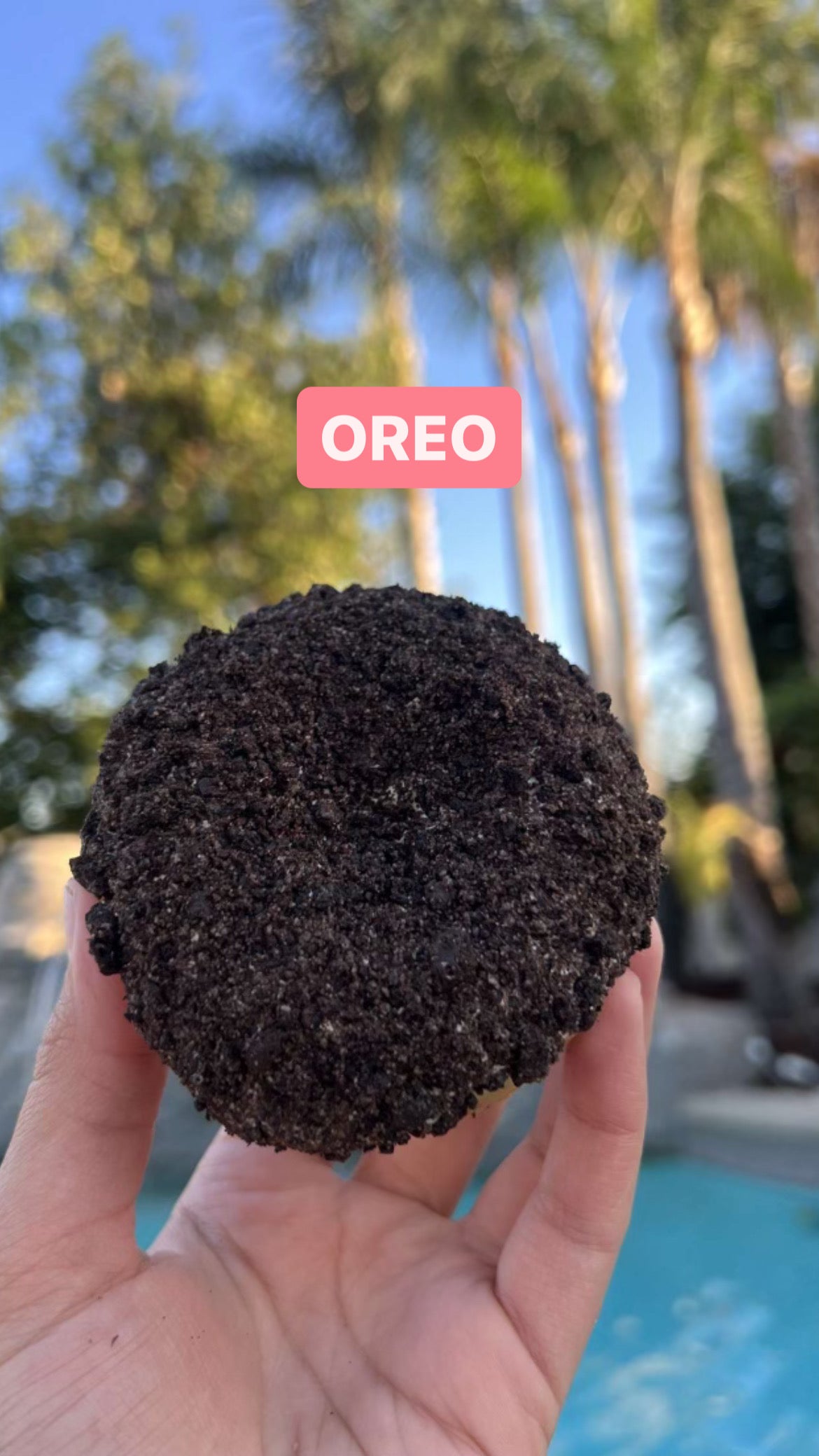 Protein Donut - Create your own (2,4,6, or 10 pack)
