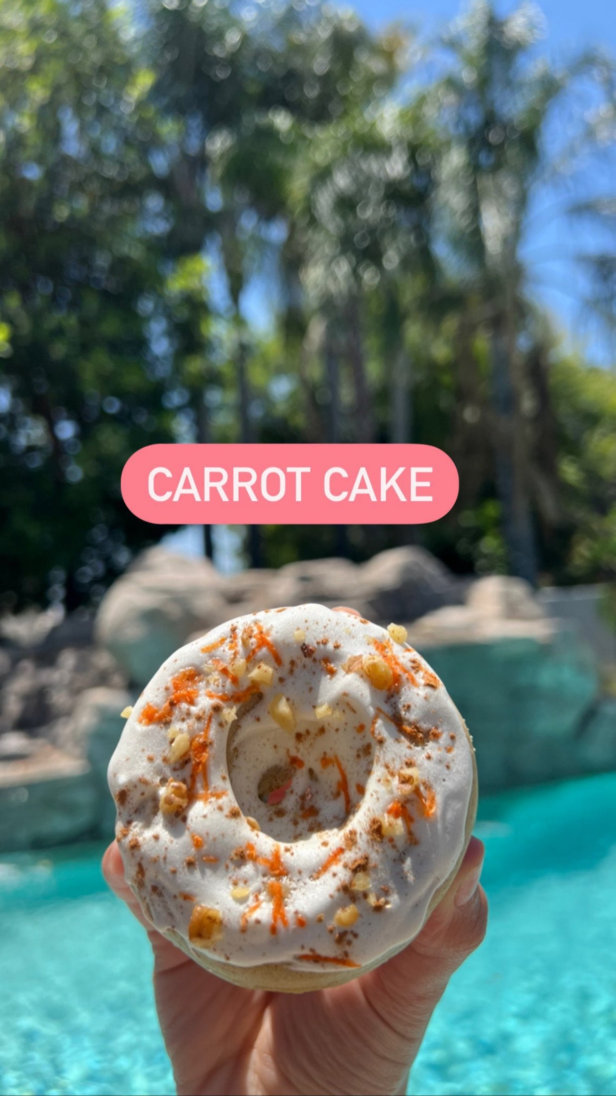 Protein Donut- Single Flavor-(6 pack)