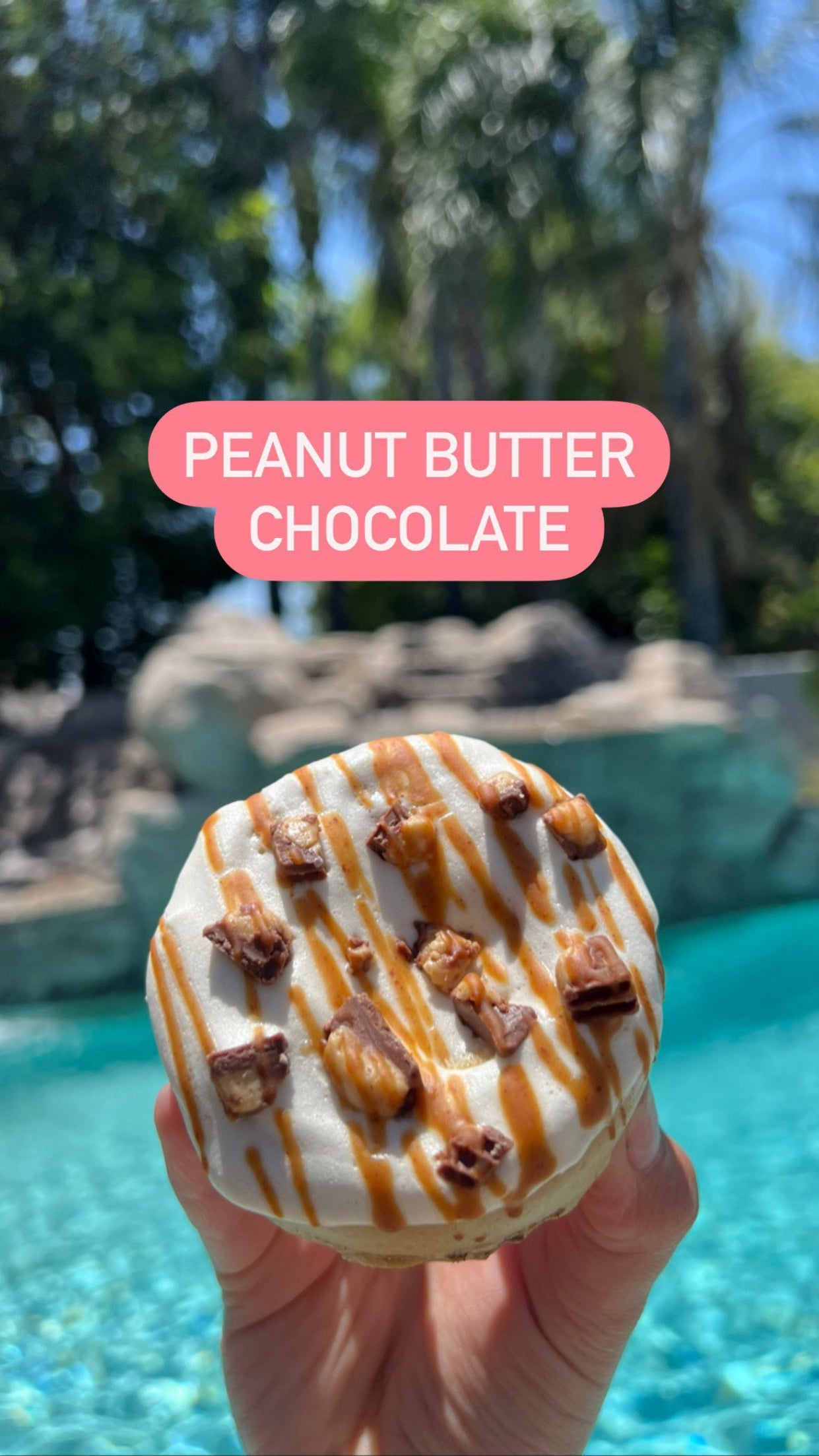 Protein Donut - Create your own (2,4,6, or 10 pack)