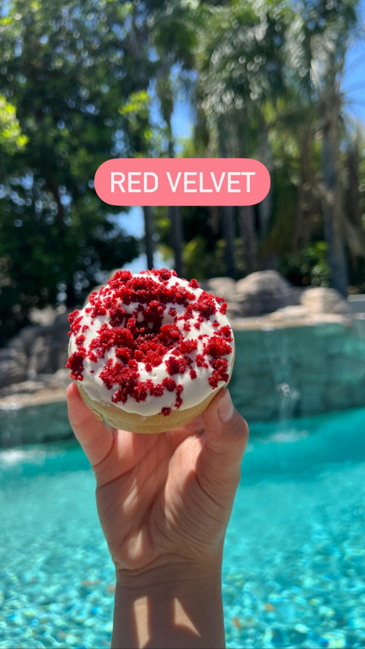 Protein Donut - Create your own (2,4,6, or 10 pack)