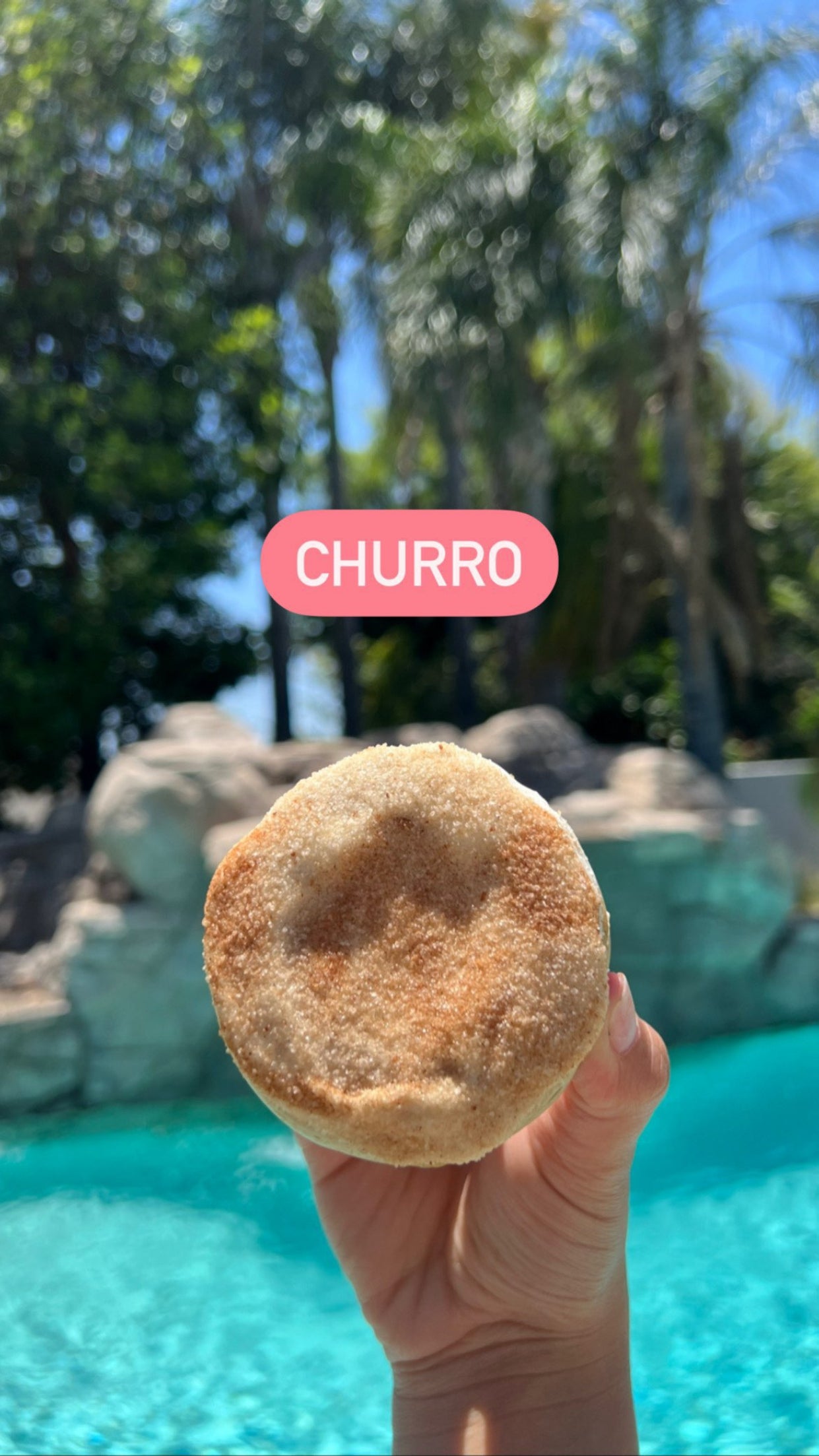 Protein Donut- Single Flavor-(6 pack)