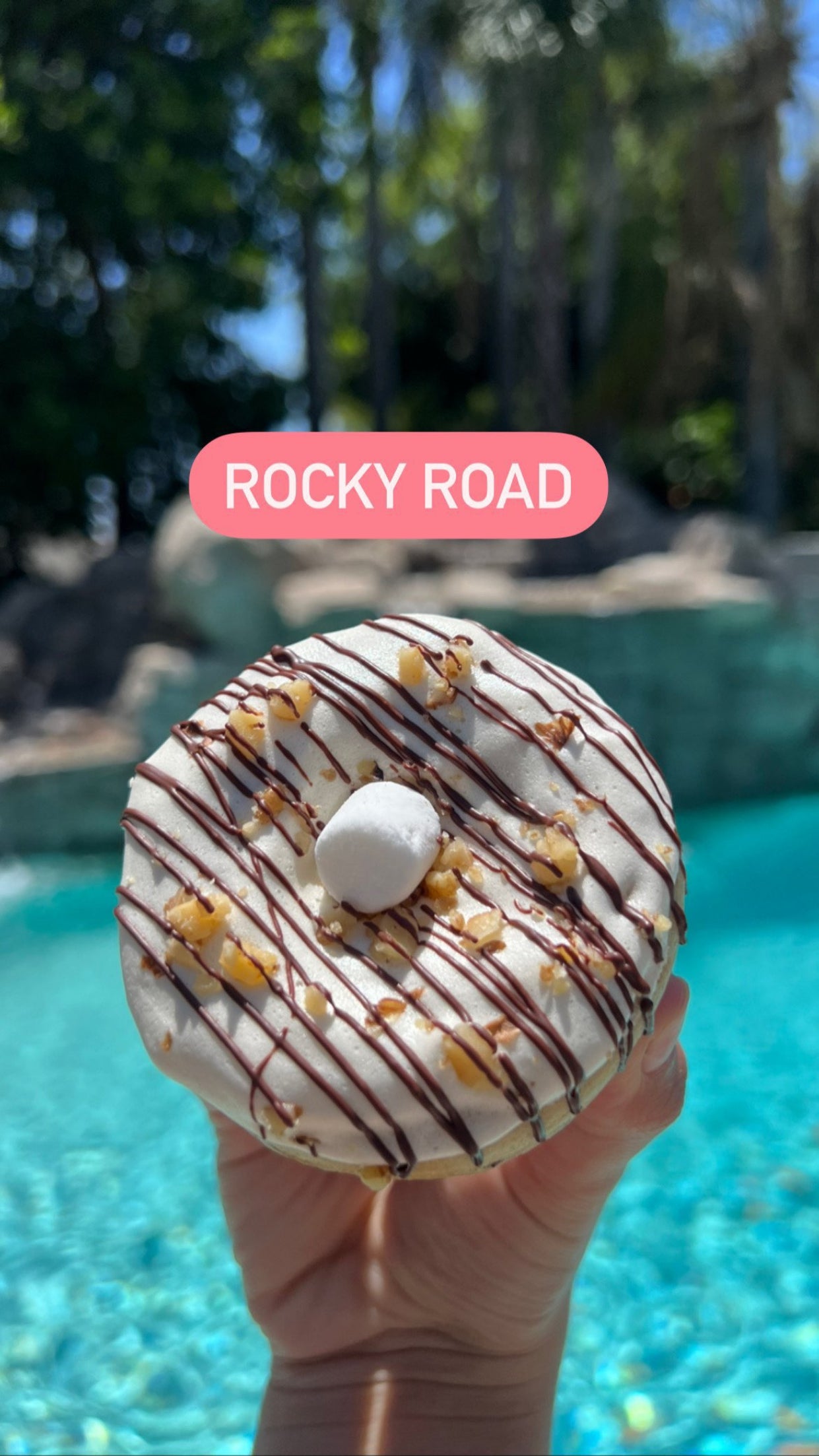 Protein Donut- Single Flavor-(6 pack)